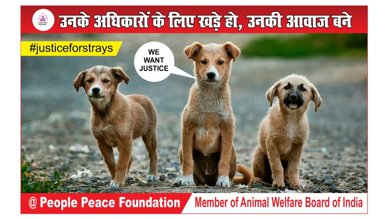 #JusticeForStrays Voice for the Voiceless Campaign